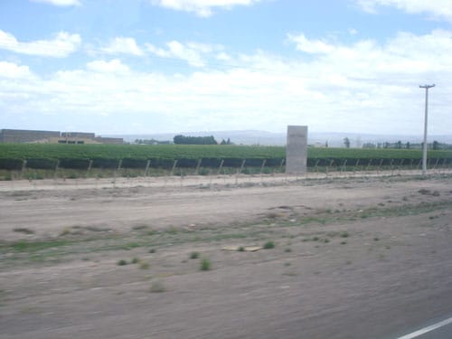Plantações de Uvas em Mendoza