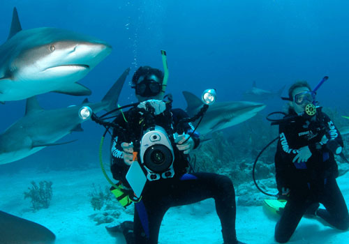 Melhores lugares para mergulhar: Bahamas, Atlântico Ocidental