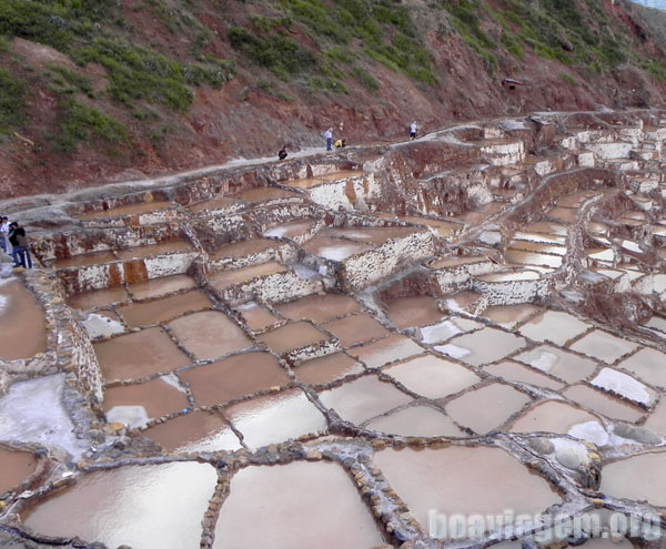 Salinas Marasal - Impressionante