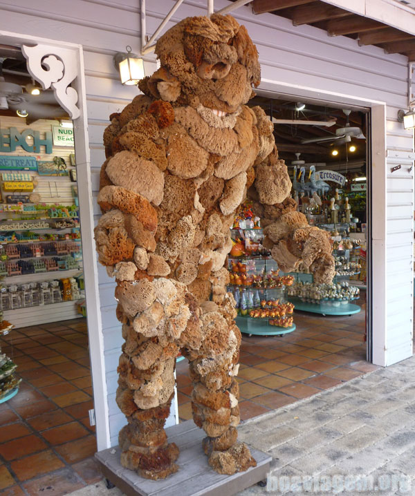 Monstro de esponjas em Key West