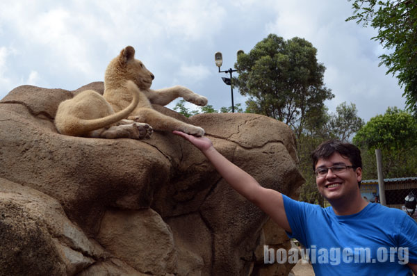 Você pode tocar os animais...