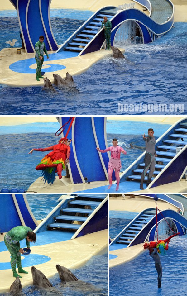 Staff do SeaWorld em ação na piscina-palco