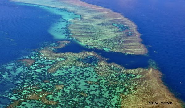 Como não querer conhecer a maior barreira de corais do planeta?