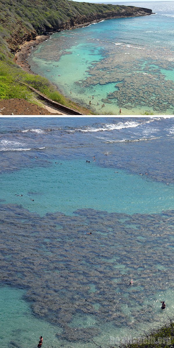 Baía de Hanauma - Hanauma Bay em Oahu - Havaí