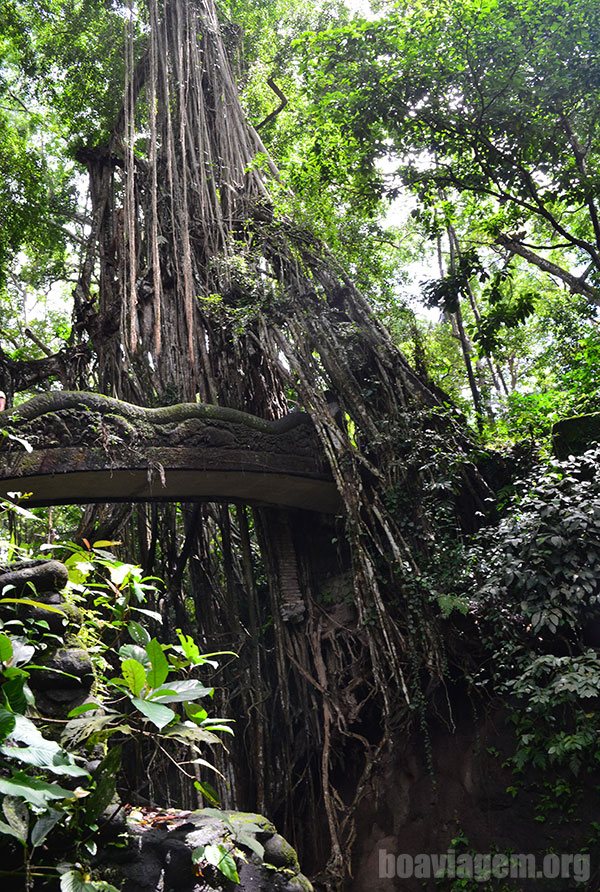 Ponte ao estilo tomb-raider na floresta sagrada dos macacos