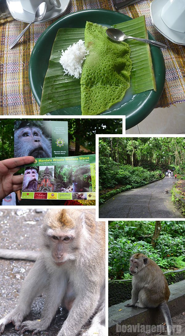 Santuário Sagrado da Floresta dos Macacos