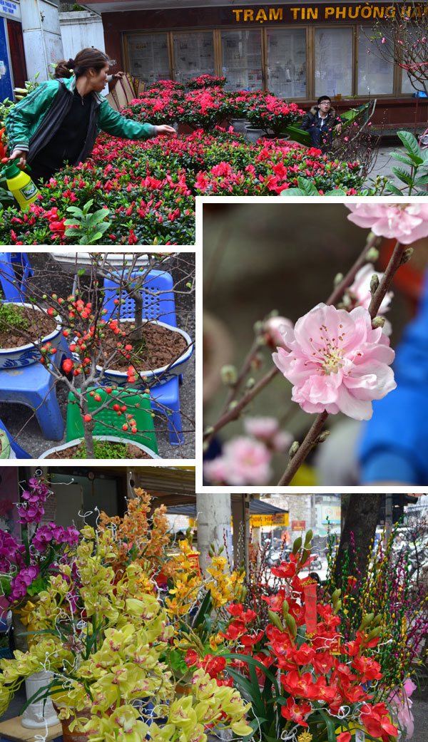 Comércio de flores pelas ruas da capital do Vietnã