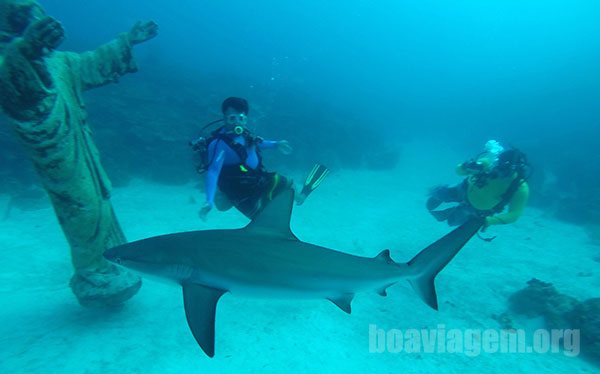 Em Felipe's Place, com um tubarão e o amigo dive master Ignacio Cabezza