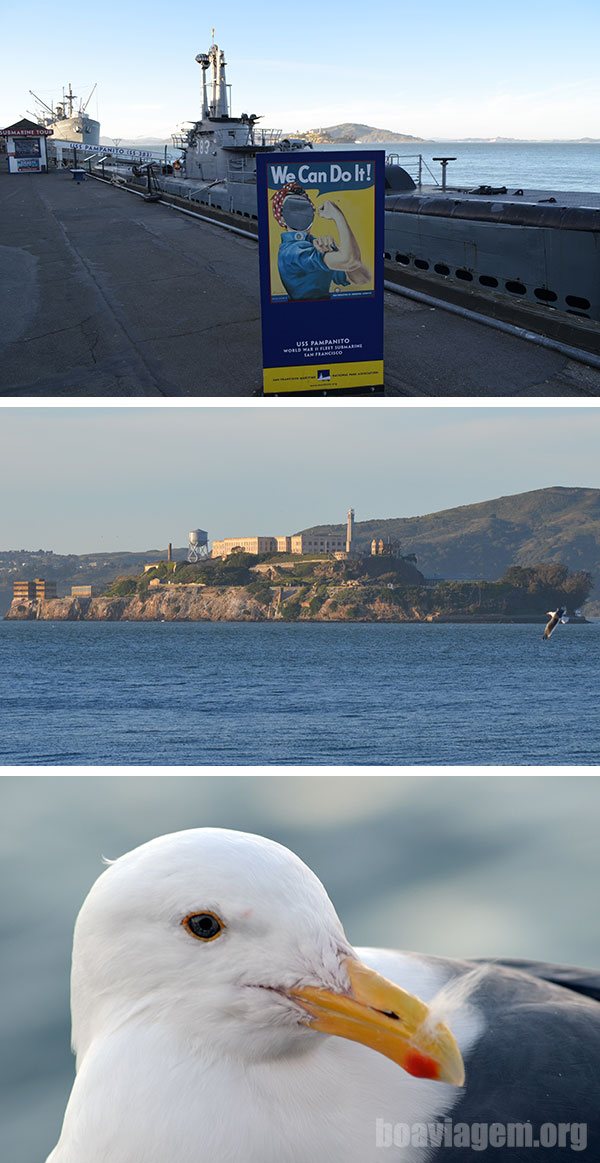 Alcatraz, submarino 383 ancorado e pássaros por todos os lados