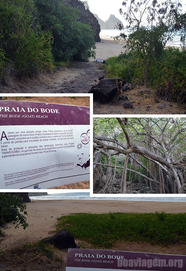 Praia do Bode em Fernando de Noronha - Pernambuco - Brasil