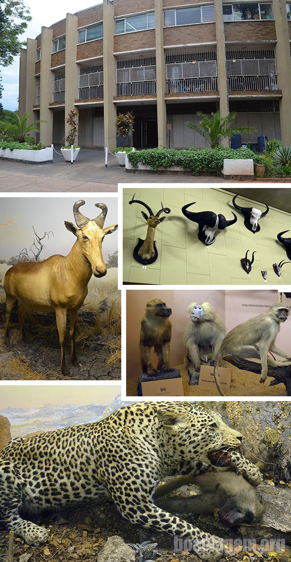 Museu de História Natural de Bulawayo