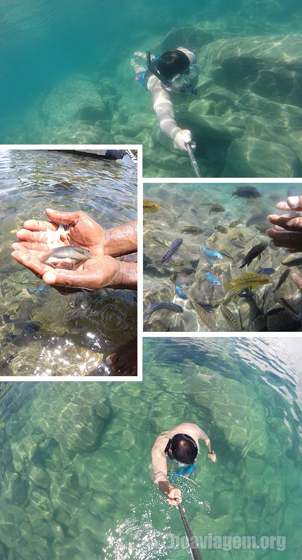Pescando com as mãos no Lago Malawi