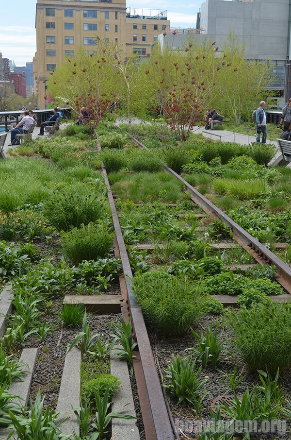 Um parque suspenso, construído sob os trilhos de uma antiga linha de metrô