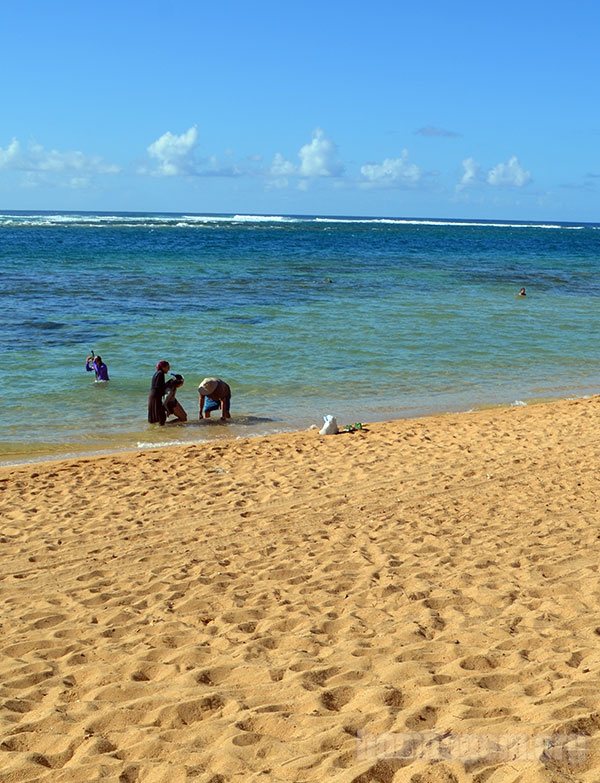 Uma das praias mais lindas do Havaí - Tunnels Beach