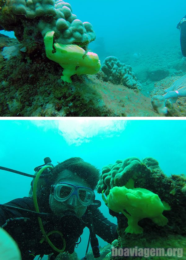Selfie com um frog-fish