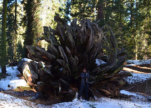 Sequoia National Park - California