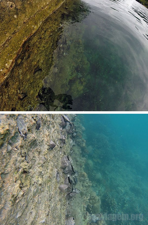 Água impressionantemente transparente no Palau