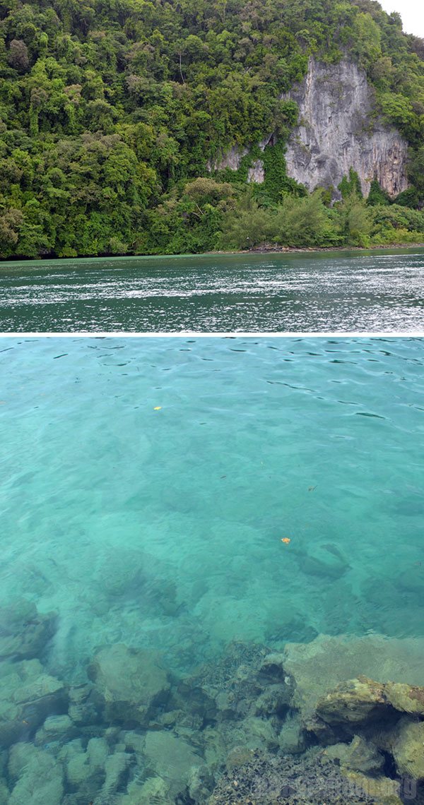 Palau - Micronésia - Primeiras Impressões