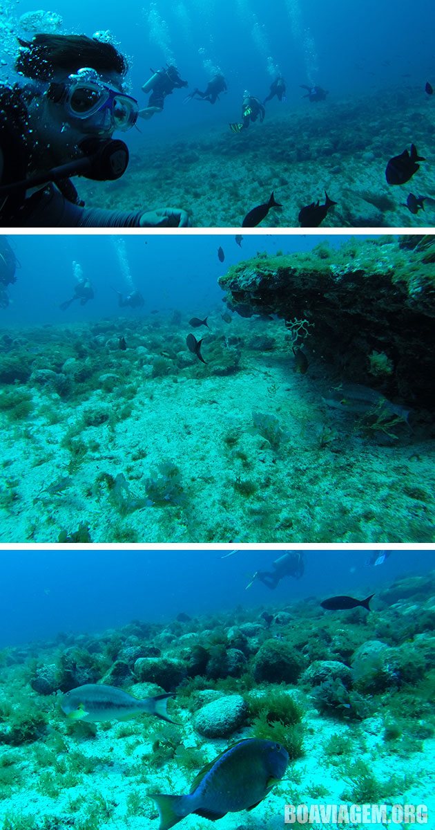 Visibilidade sensacional em mergulho na Ilha Rata