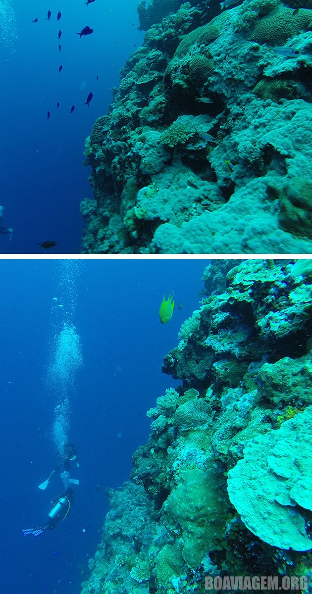 Profundezas do oceano no Palau