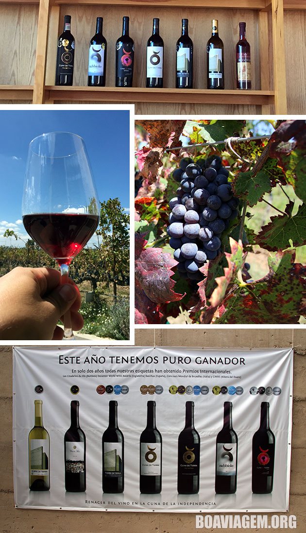 Vinhos premiados produzidos na altitude de Dolores Hidalgo