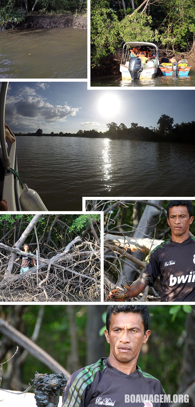 Catando caranguejos no meio do mangue no Delta do Parnaíba