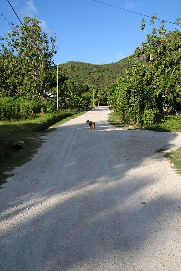 Rua deserta em Maupiti
