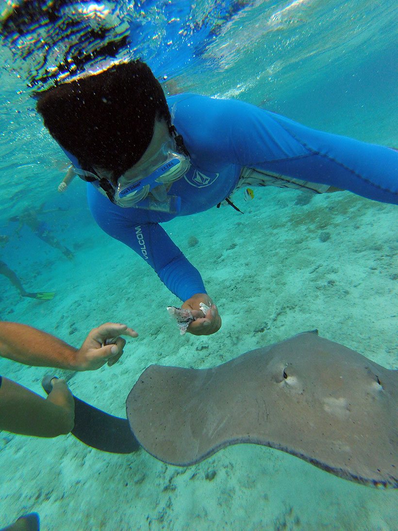 Snorkel com arraias em Bora Bora