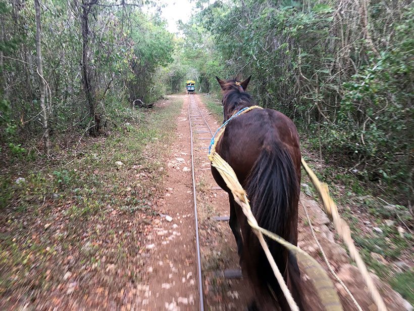 Sendo puxado por uma carroça sobre trilhos para conhecer cenotes em Yucatán