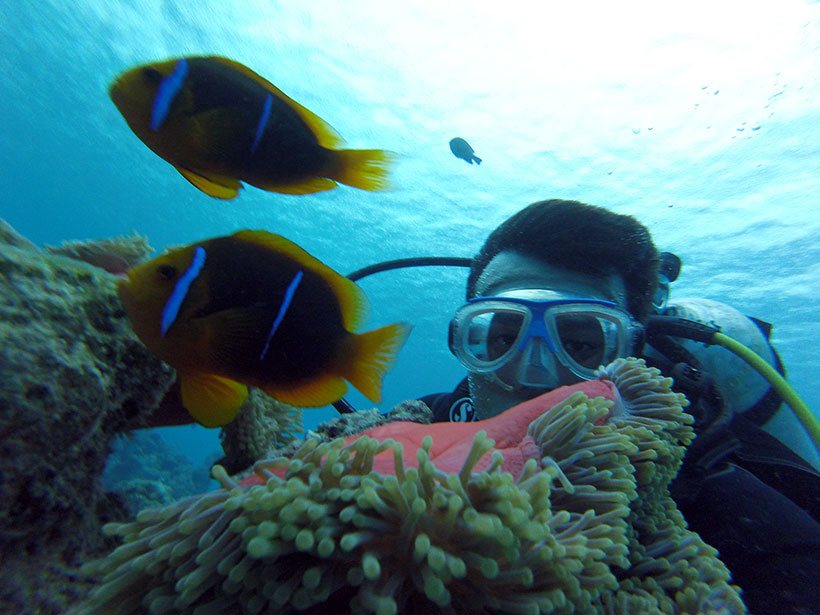 Mergulho em corais de Bora Bora