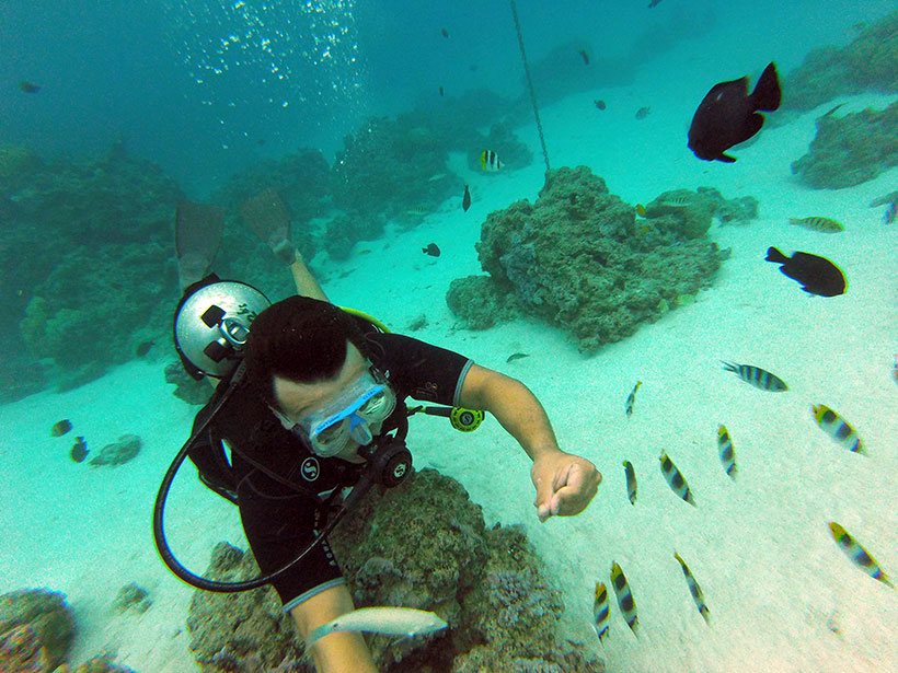 Encantando peixes em Bora Bora