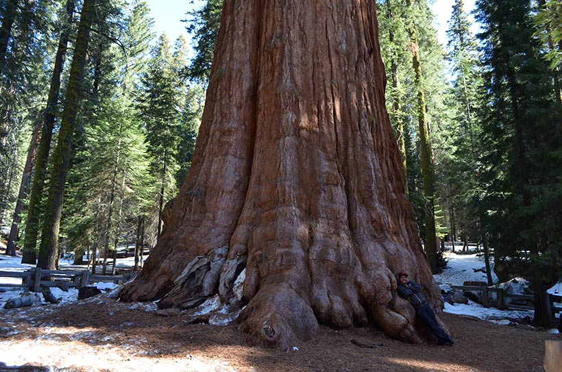 Sequoia National Park na California
