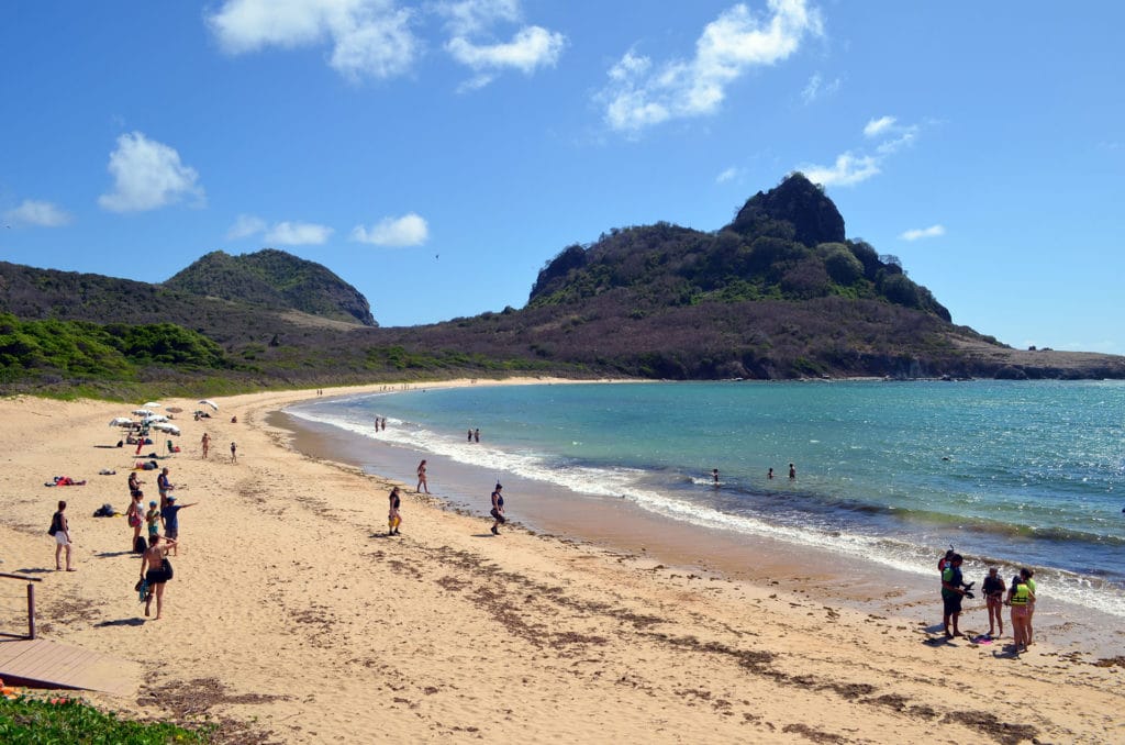 Ataque de tubarão em Noronha