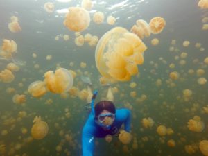 Jellyfish Lake
