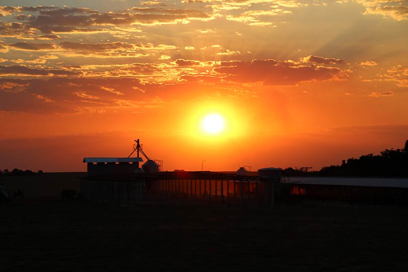 Admirar um pôr do sol no Cerrado